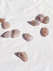Lavender Tumbles | Mini