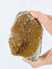 Caramel Amethyst CutBase Cluster 346g