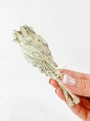 Organic White Sage | Small