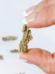 Fulgurite Natural Mineral Specimen | Mini
