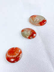 Red Coral | Mini