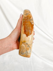 Picture Jasper Polished CutBase 1.4kg