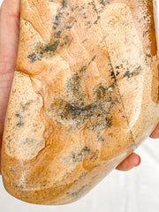 Picture Jasper Polished CutBase 1.4kg