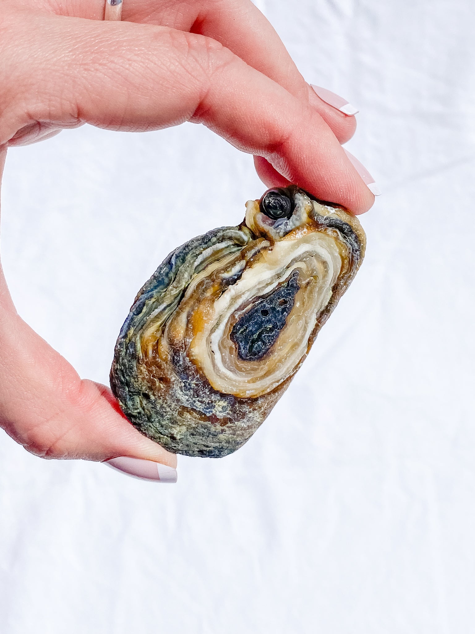 Agate Conchina Swirl 48g