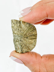 Pyrite Flower Mineral Specimen 30g
