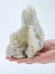 Finger Coral Quartz Cluster 609g