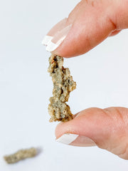 Fulgurite Natural Mineral Specimen | Mini