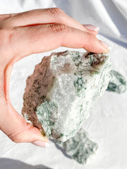 Tree Agate Natural | XX Large