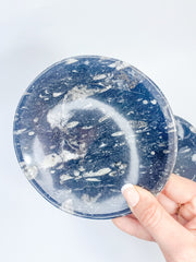 Orthoceras Bowl | XX Large