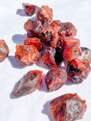 Carnelian Natural | X Small
