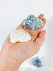 Harmony Duo: Celestite + Glass Apophyllite | Medium