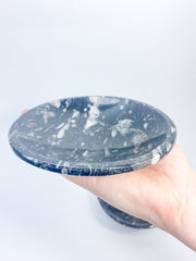 Orthoceras Bowl | XX Large