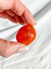 Carnelian Tumbles | Large