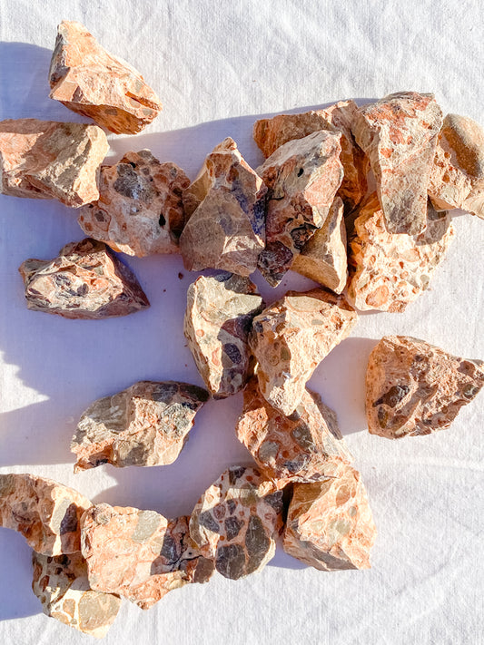 Leopardite Natural | X Small
