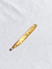 Copal with Insect Inclusions 6g