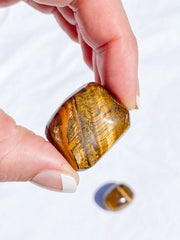 Tiger Eye Tumbles | Large