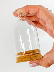 Glass Display Vial