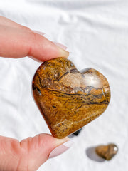 Stromatolite Heart | Medium