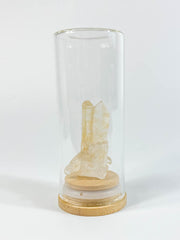 Glass Display | Dome