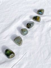 Labradorite Tumbles | Medium