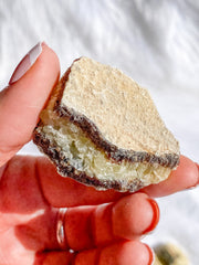 Septarian Natural | Small