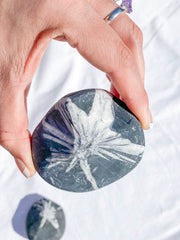 Chrysanthemum Natural Stone | X Large