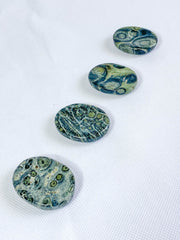 Kambaba/Crocodile Jasper Worry Stone