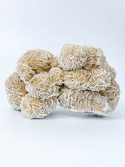 Desert Rose Selenite Cluster Statement Piece 957g