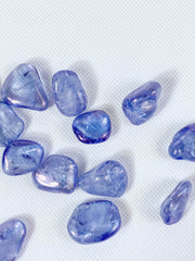 Aura Tanzin Tumbles | Mini