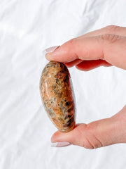 Madagascar Jasper Pebble 75g