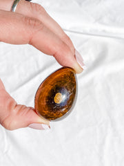 Tiger Eye Egg | Small