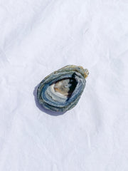 Agate Conchina Swirl 48g