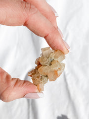 Aragonite Sputnik White | X Small