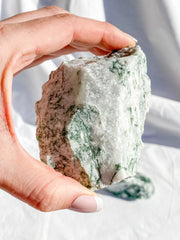 Tree Agate Natural | XX Large