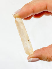 Golden Healer Natural Point 11g