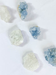 Harmony Duo: Celestite + Glass Apophyllite | Medium