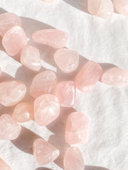 Rose Quartz Tumbles | Small