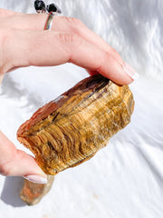 Tiger Eye Brown Natural | XX Large