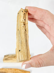 Palo Santo Stick | Thick