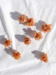 Aragonite Sputnik | X Small