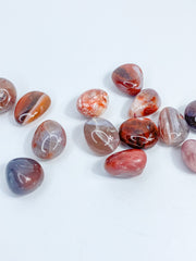 Dark Carnelian Tumbles | Small