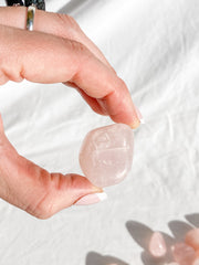 Rose Quartz Tumbles | Medium