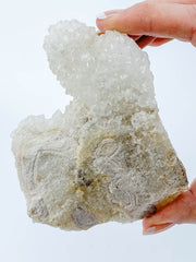 Finger Coral Quartz Cluster 340g