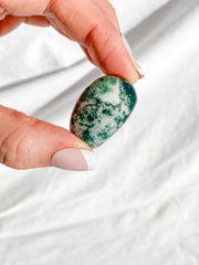 Tree Agate Tumbles | Medium