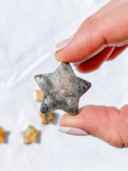 Crazy Lace Agate Star | X Small