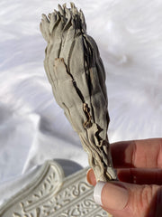 White GrandFather Sage | Small