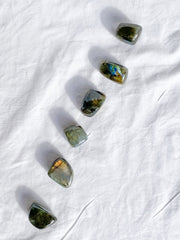 Labradorite Tumbles | Medium