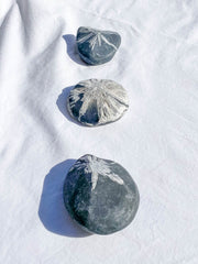 Chrysanthemum Natural Stone | X Large