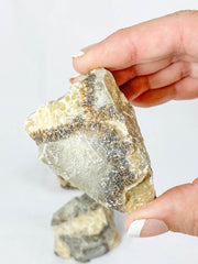 Septarian Natural | Large