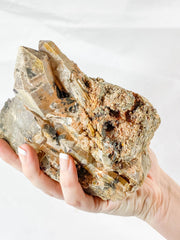 Brandenburg Mineral Specimen Statement Piece 1.8k